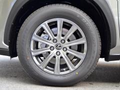 Модель 200 AWD 2020 г., Fengshang Edition, Китай VI 2020 Model 200 AWD, Fengshang Edition, China VI Фото 200 из 271