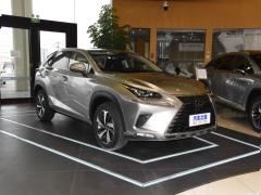 2020 300h полноприводный Fengzhi Edition China VI 2020 300h all-wheel drive Fengzhi Edition China VI Фото 25 из 271