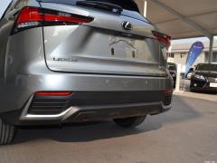 Модель 200 AWD 2020 г., Fengshang Edition, Китай VI 2020 Model 200 AWD, Fengshang Edition, China VI Фото 208 из 271
