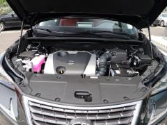 Модель 200 Front Drive Front Travel Edition National VI 2020 года 2020 Model 200 Front Drive Front Travel Edition National VI Фото 9 из 69
