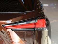 Модель 200 AWD 2020 г., Fengshang Edition, Китай VI 2020 Model 200 AWD, Fengshang Edition, China VI Фото 35 из 43