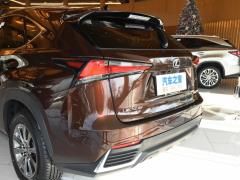 Модель 200 AWD 2020 г., Fengshang Edition, Китай VI 2020 Model 200 AWD, Fengshang Edition, China VI Фото 30 из 43