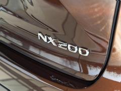 Модель 200 AWD 2020 г., Fengshang Edition, Китай VI 2020 Model 200 AWD, Fengshang Edition, China VI Фото 39 из 43