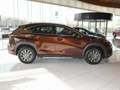 Модель 200 AWD 2020 г., Fengshang Edition, Китай VI 2020 Model 200 AWD, Fengshang Edition, China VI Фото 4 из 43