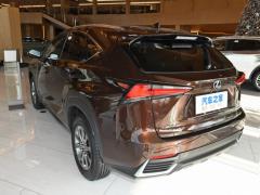Модель 200 AWD 2020 г., Fengshang Edition, Китай VI 2020 Model 200 AWD, Fengshang Edition, China VI Фото 5 из 43