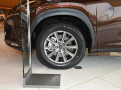 Модель 200 AWD 2020 г., Fengshang Edition, Китай VI 2020 Model 200 AWD, Fengshang Edition, China VI Фото 17 из 43
