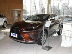 Модель 200 AWD 2020 г., Fengshang Edition, Китай VI 2020 Model 200 AWD, Fengshang Edition, China VI Фото 1 из 43