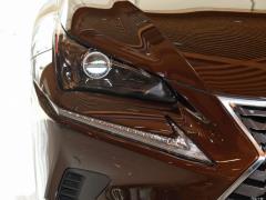 Модель 200 AWD 2020 г., Fengshang Edition, Китай VI 2020 Model 200 AWD, Fengshang Edition, China VI Фото 11 из 43