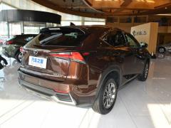 Модель 200 AWD 2020 г., Fengshang Edition, Китай VI 2020 Model 200 AWD, Fengshang Edition, China VI Фото 7 из 43