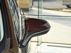 Модель 200 AWD 2020 г., Fengshang Edition, Китай VI 2020 Model 200 AWD, Fengshang Edition, China VI Фото 22 из 43