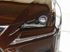 Модель 200 AWD 2020 г., Fengshang Edition, Китай VI 2020 Model 200 AWD, Fengshang Edition, China VI Фото 13 из 43
