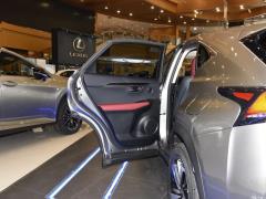 2020 300h полноприводный Fengzhi Edition China VI 2020 300h all-wheel drive Fengzhi Edition China VI Фото 194 из 253