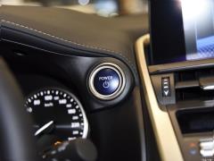 2020 300h полноприводный Fengzhi Edition China VI 2020 300h all-wheel drive Fengzhi Edition China VI Фото 111 из 253