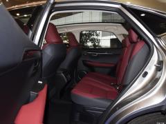 2020 300h полноприводный Fengzhi Edition China VI 2020 300h all-wheel drive Fengzhi Edition China VI Фото 192 из 253