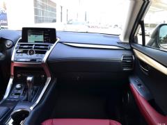 Модель 200 AWD 2020 г., Fengshang Edition, Китай VI 2020 Model 200 AWD, Fengshang Edition, China VI Фото 54 из 253