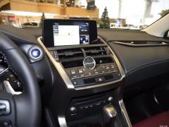 2020 300h полноприводный Fengzhi Edition China VI 2020 300h all-wheel drive Fengzhi Edition China VI Фото 102 из 253