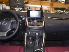 2020 300h полноприводный Fengzhi Edition China VI 2020 300h all-wheel drive Fengzhi Edition China VI Фото 81 из 253