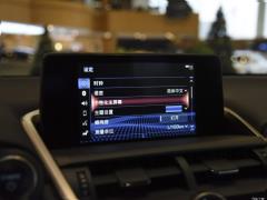 2020 300h полноприводный Fengzhi Edition China VI 2020 300h all-wheel drive Fengzhi Edition China VI Фото 108 из 253