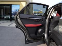 Модель 200 AWD 2020 г., Fengshang Edition, Китай VI 2020 Model 200 AWD, Fengshang Edition, China VI Фото 231 из 253