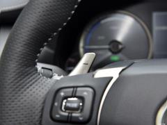 2020 300h полноприводный F SPORT кантри VI 2020 300h all-wheel drive F SPORT country VI Фото 24 из 394