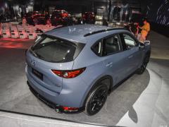 2021 2.5L автоматический полный привод черный рыцарь 2021 2.5L automatic four-wheel drive black knight Фото 6 из 48