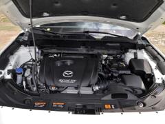 2021 2.5L автоматический полный привод smart type 2021 2.5L automatic four-wheel drive smart type Фото 202 из 571