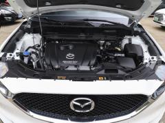 2020 модельный фейслифтинг 2.0L автоматический полноприводный смарт-модель 2020 model facelift 2.0L automatic two-wheel drive smart model Фото 472 из 571