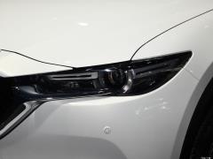 2020 2.5L автоматический полноприводный smart 2020 2.5L automatic two-wheel drive smart Фото 537 из 571