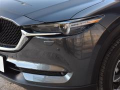 Флагман с автоматическим полным приводом 2.5L 2020 года 2020 2.5L automatic four-wheel drive flagship Фото 322 из 368