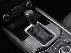 2021 2.5L автоматический полный привод smart type 2021 2.5L automatic four-wheel drive smart type Фото 312 из 1350