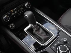 2021 2.5L Автоматический привод на два колеса Black Knight 2021 2.5L Automatic Two-wheel Drive Black Knight Фото 39 из 1350