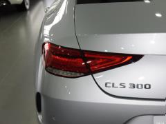 CLS 300 Dynamic 2021 года 2021 CLS 300 Dynamic Фото 31 из 41