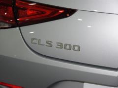 CLS 300 Dynamic 2021 года 2021 CLS 300 Dynamic Фото 33 из 41