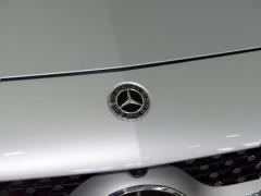CLS 300 Dynamic 2021 года 2021 CLS 300 Dynamic Фото 17 из 41