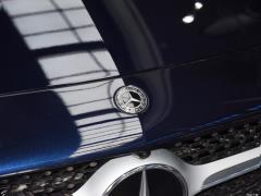 CLS 300 Dynamic 2021 года 2021 CLS 300 Dynamic Фото 14 из 45