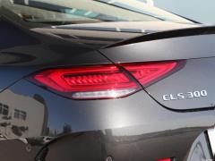 2021 CLS 300 Делюкс 2021 CLS 300 Deluxe Фото 43 из 57