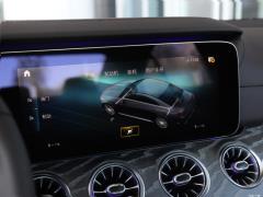 2021 CLS 300 Делюкс 2021 CLS 300 Deluxe Фото 36 из 89
