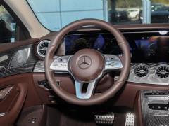 2021 CLS 300 Делюкс 2021 CLS 300 Deluxe Фото 8 из 89