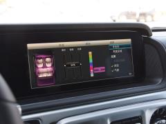 Специальное издание G 500 Dark Night 2020 2020 G 500 Dark Night Special Edition Фото 45 из 265