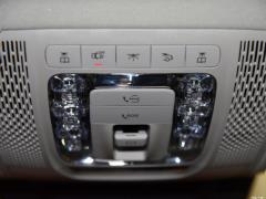 Модель 2021 GLS 450 4MATIC 2021 GLS 450 4MATIC Fashion Model Фото 338 из 377