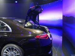 2021 S 500 L 4MATIC 2021 S 500 L 4MATIC Фото 530 из 532