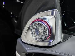 2021 S 500 L 4MATIC 2021 S 500 L 4MATIC Фото 516 из 532