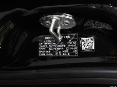 2021 2.0T Elite Edition 7-местный 2021 2.0T Elite Edition 7-seater Фото 69 из 118