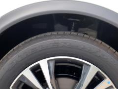 2021 2,0-литровый вариатор Luxury Pilot Edition 2021 2.0L CVT Luxury Pilot Edition Фото 114 из 147