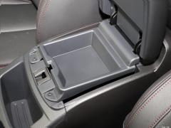 2021 2,0-литровый вариатор Luxury Pilot Edition 2021 2.0L CVT Luxury Pilot Edition Фото 241 из 334