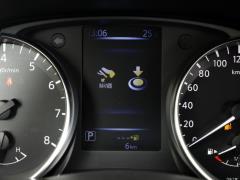 2021 2,0-литровый вариатор Luxury Pilot Edition 2021 2.0L CVT Luxury Pilot Edition Фото 86 из 334