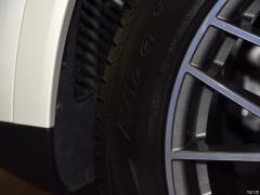 Cayenne 3.0T 2019 года 2019 Cayenne 3.0T Фото 23 из 45