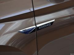 2021 TSI330 7-местный полноприводный роскошный премиум-выпуск 2021 TSI330 7-seater two-wheel drive luxury premium edition Фото 25 из 108