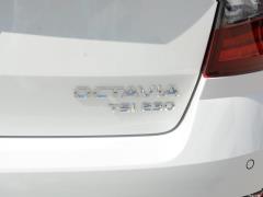 Универсал TSI230 DSG Deluxe Edition National VI 2019 года 2019 Station Wagon TSI230 DSG Deluxe Edition National VI Фото 356 из 418
