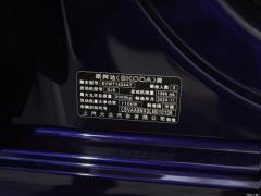 2021 PRO TSI280 DSG Максимальное издание 2021 PRO TSI280 DSG Ultimate Edition Фото 133 из 248
